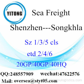Shenzhen Port Sea Freight Shipping Para Songkhla